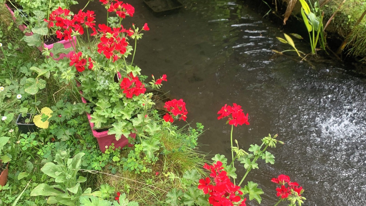 Photo of Outdoor in Saint-Romans