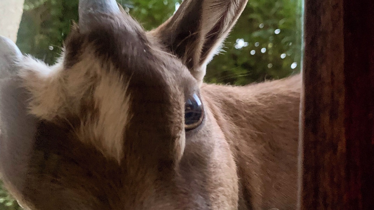 Photo of Others in Saint-Romans