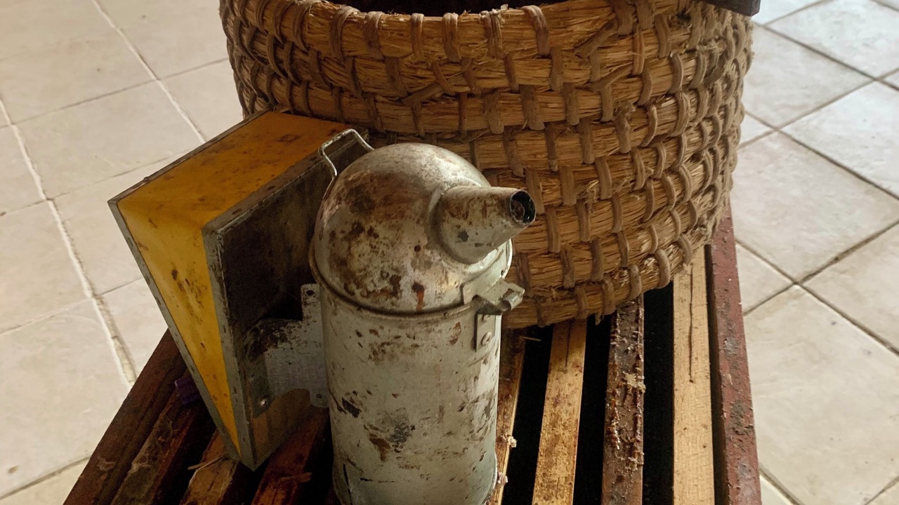 Photo of Others in Saint-Romans