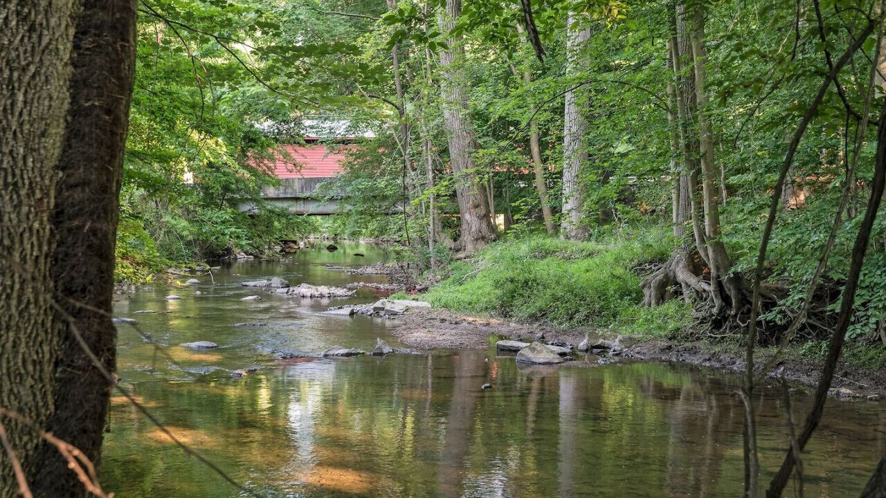 Photo of Others in Newtown Square