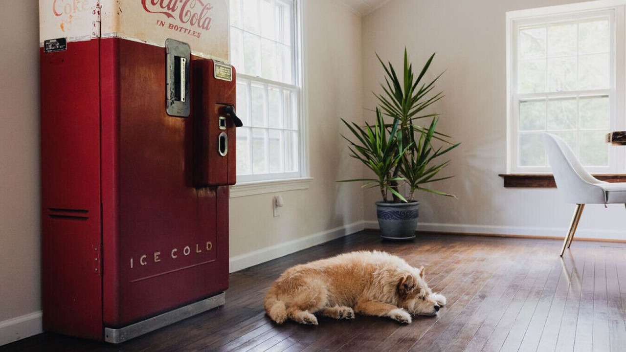 Photo of Others in Newtown Square