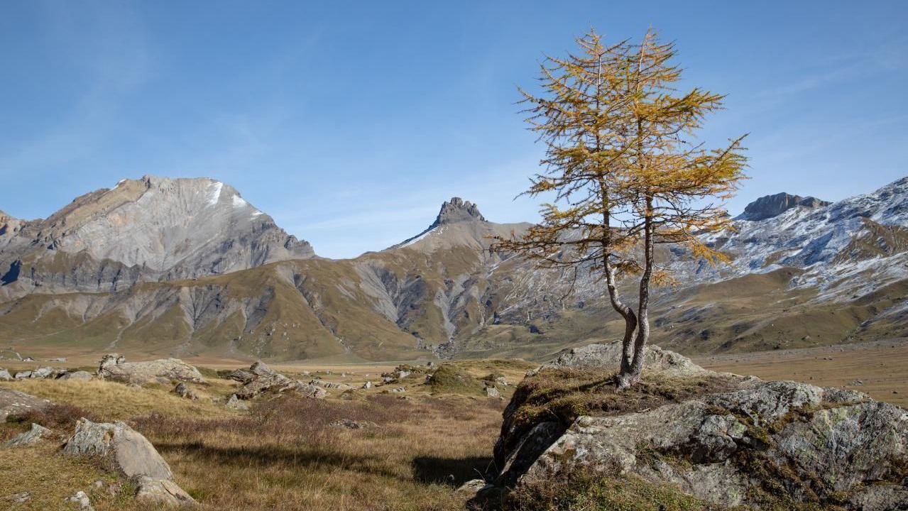 Photo of Others in Frutigen