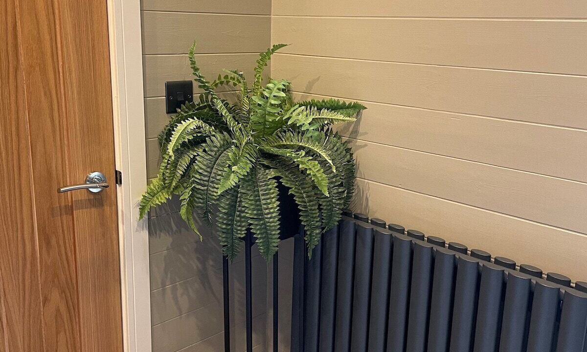 Photo of Others in Llangollen