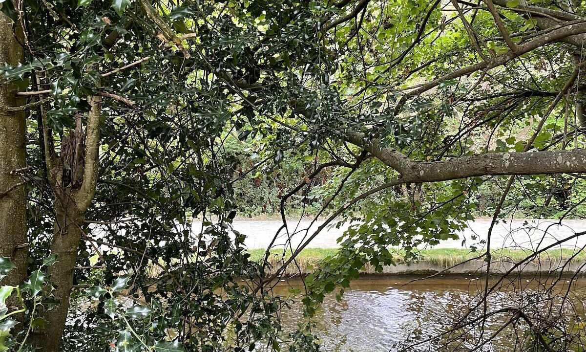 Photo of Outdoor in Llangollen