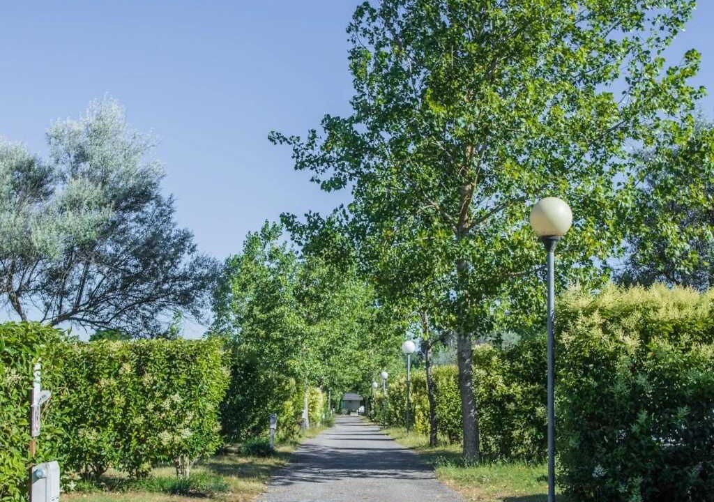 Photo of Others in Montolieu