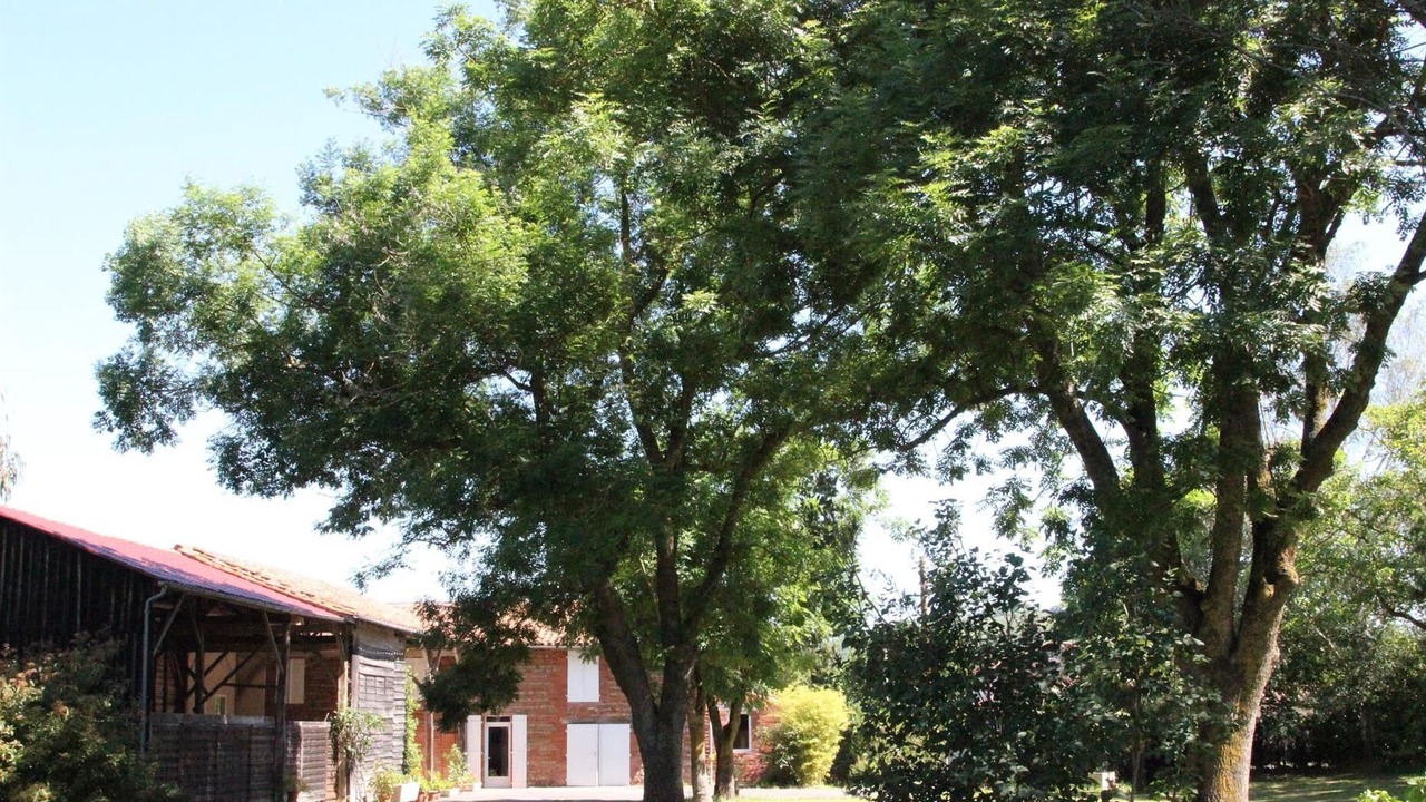 Photo of Outdoor in Montesquieu-Volvestre
