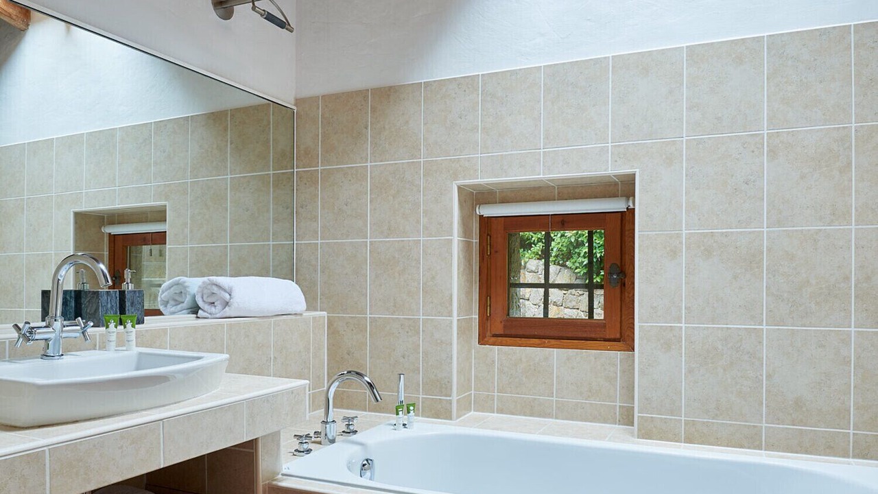 Photo of Others in Speracedes