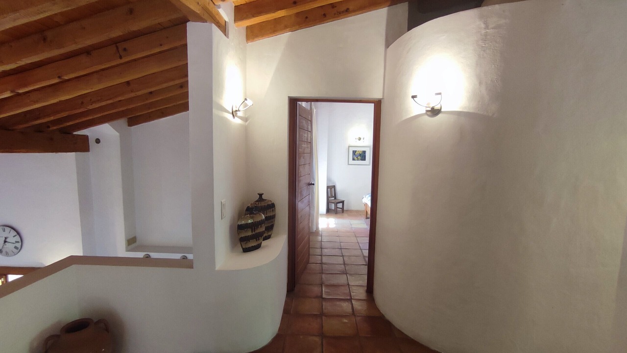 Photo of Others in Speracedes