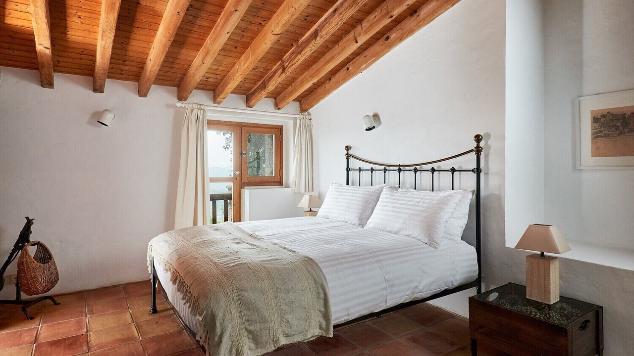 Photo of Others in Speracedes