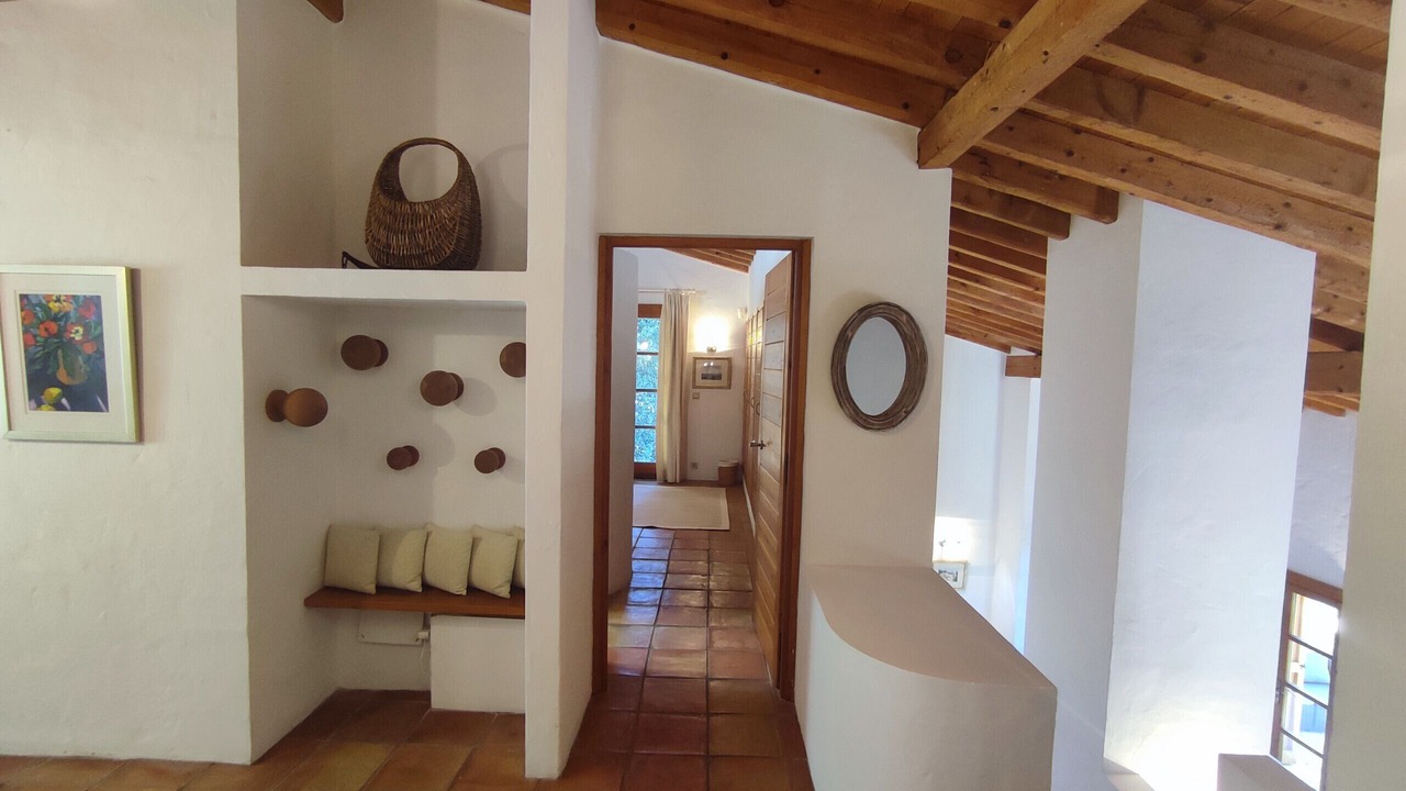 Photo of Others in Speracedes