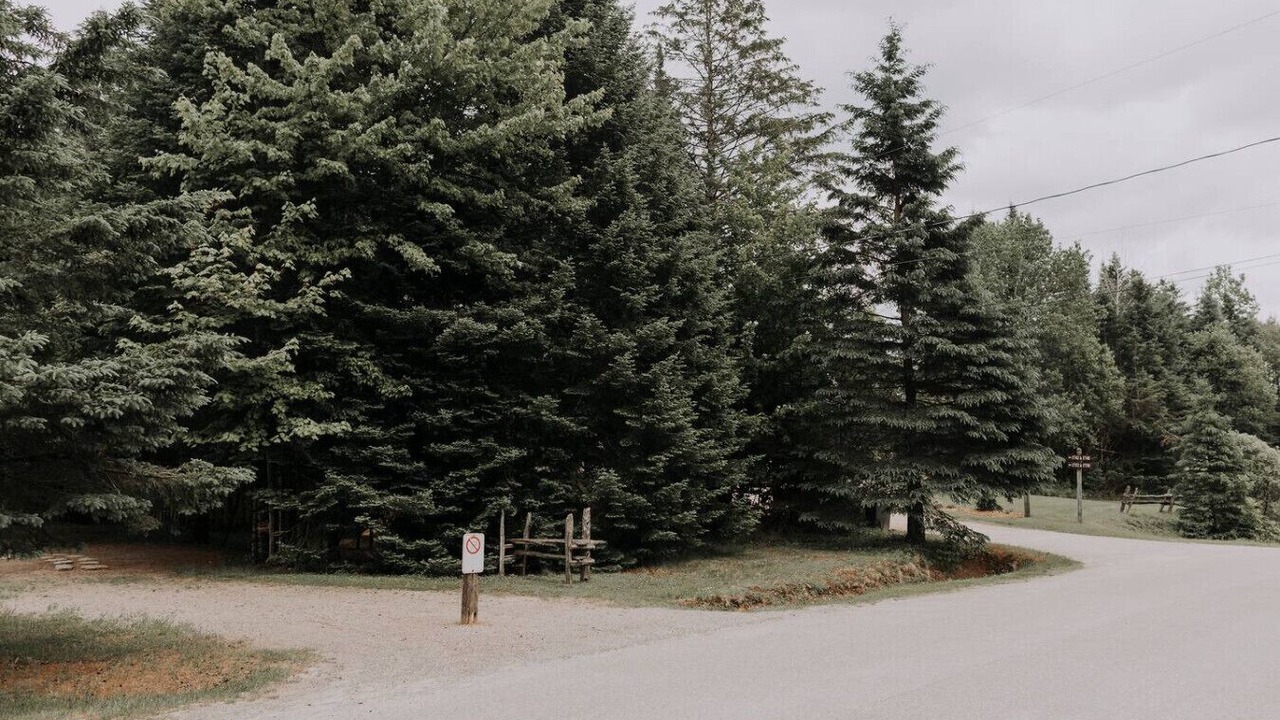 Photo of Others in Mont-Tremblant