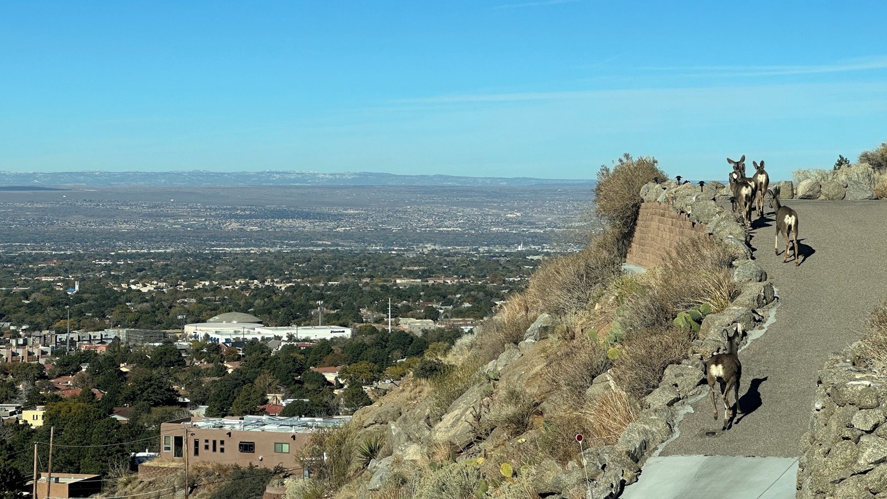 Photo of Others in Glenwood Hills