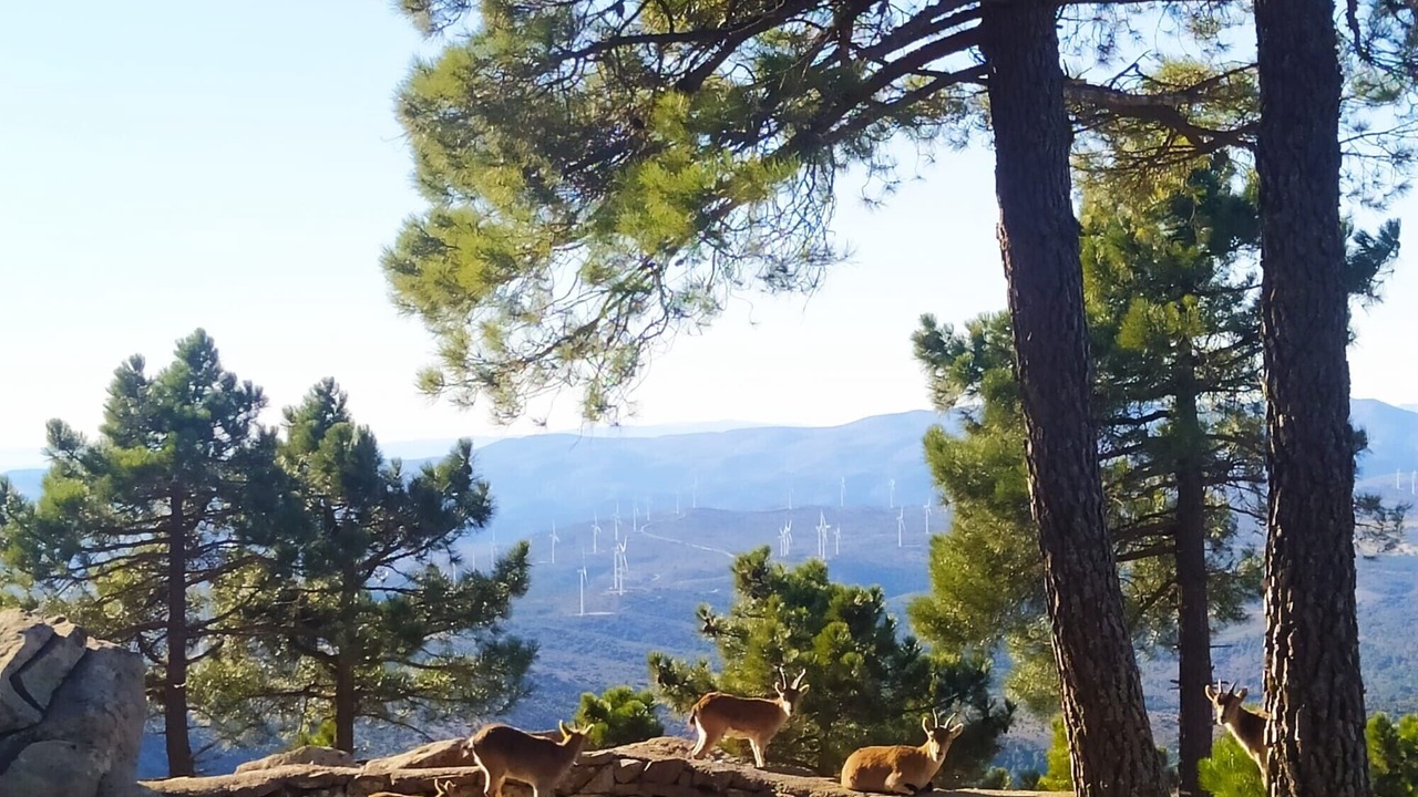 Photo of Others in Pina de Montalgrao