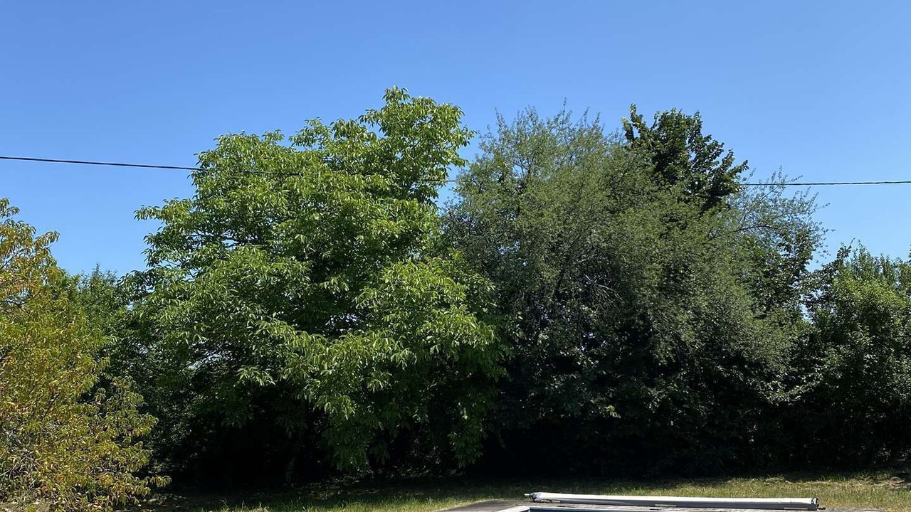 Photo of Outdoor in Paunat