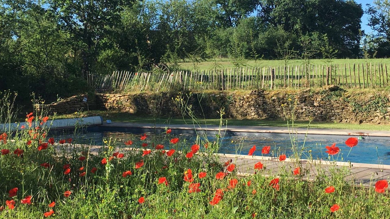 Photo of Outdoor in Paunat