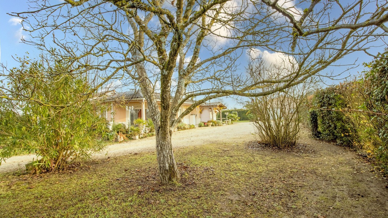 Photo of Outdoor in Saint-Avit-Saint-Nazaire