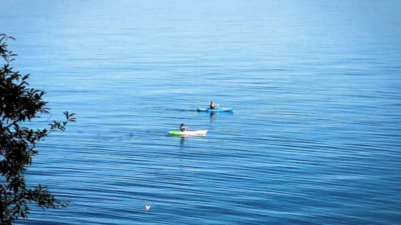 Photo of Others in Vashon Island