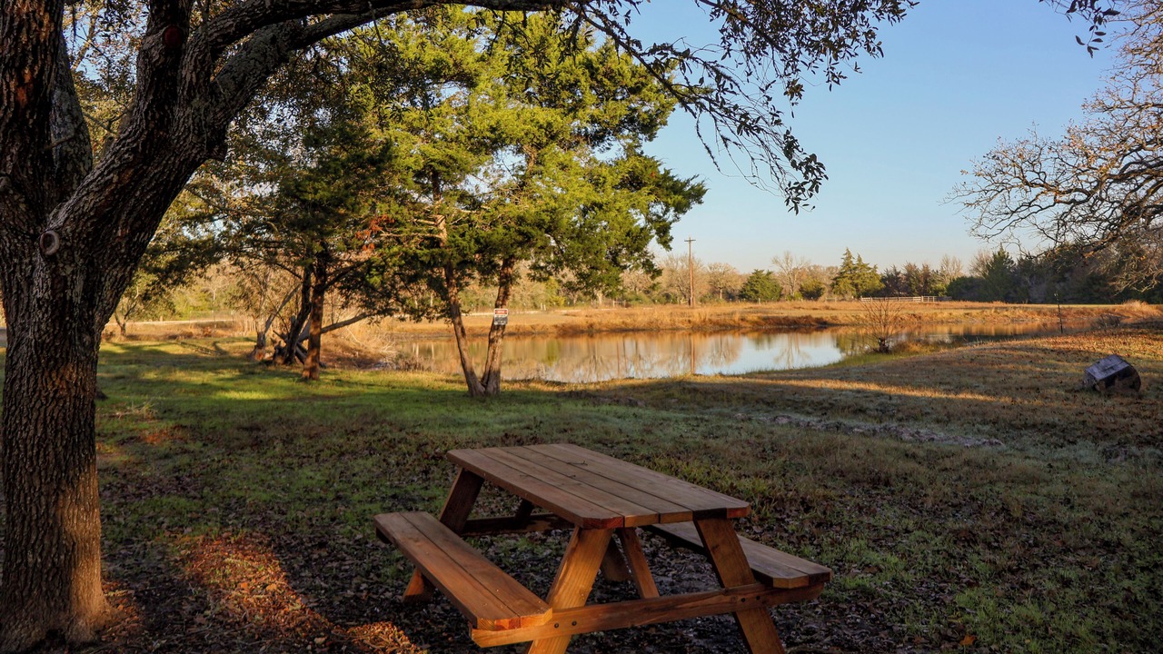 Photo of Outdoor in College Station