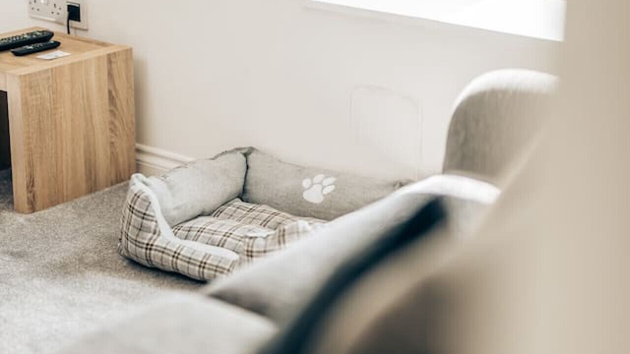 Photo of Others in Forfar