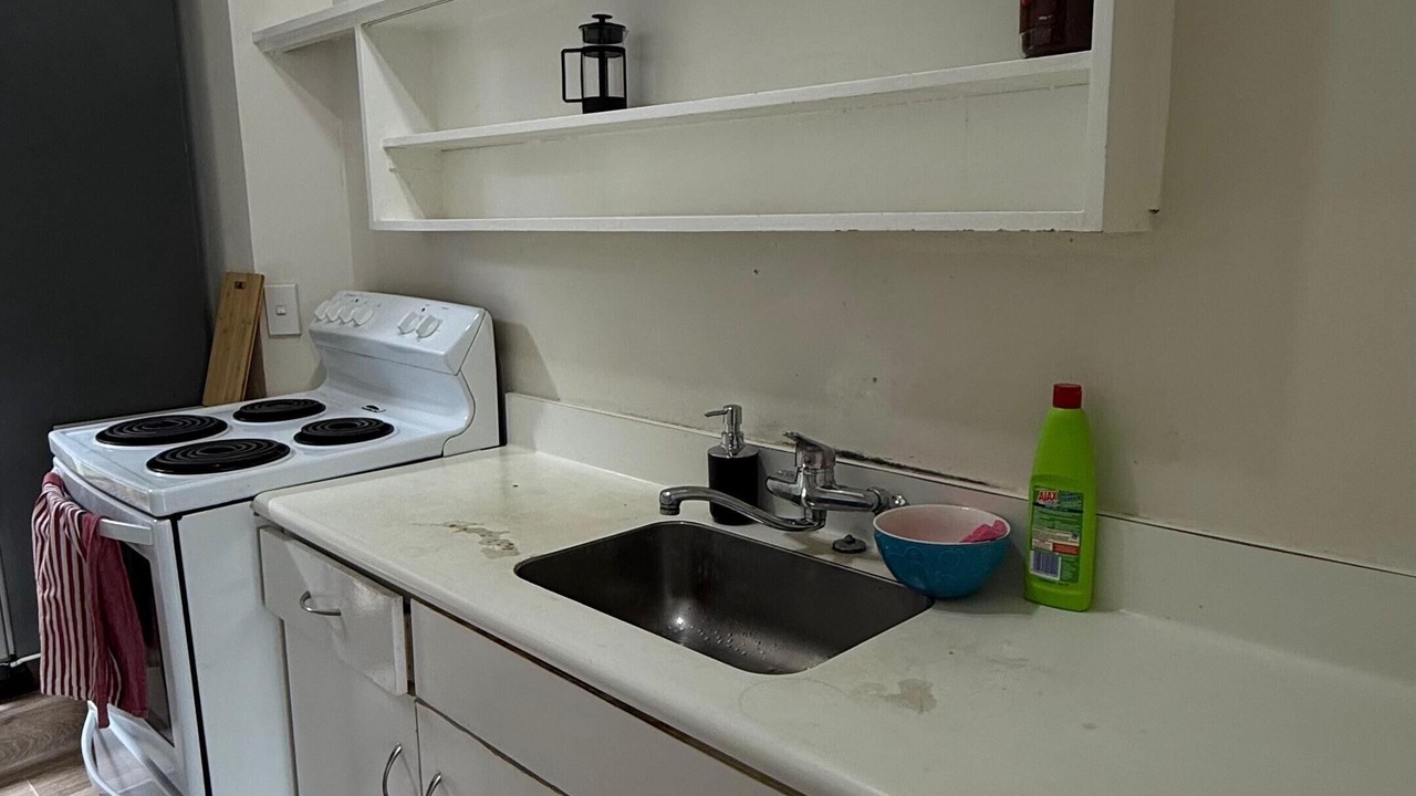 Photo of Kitchen in Remuera