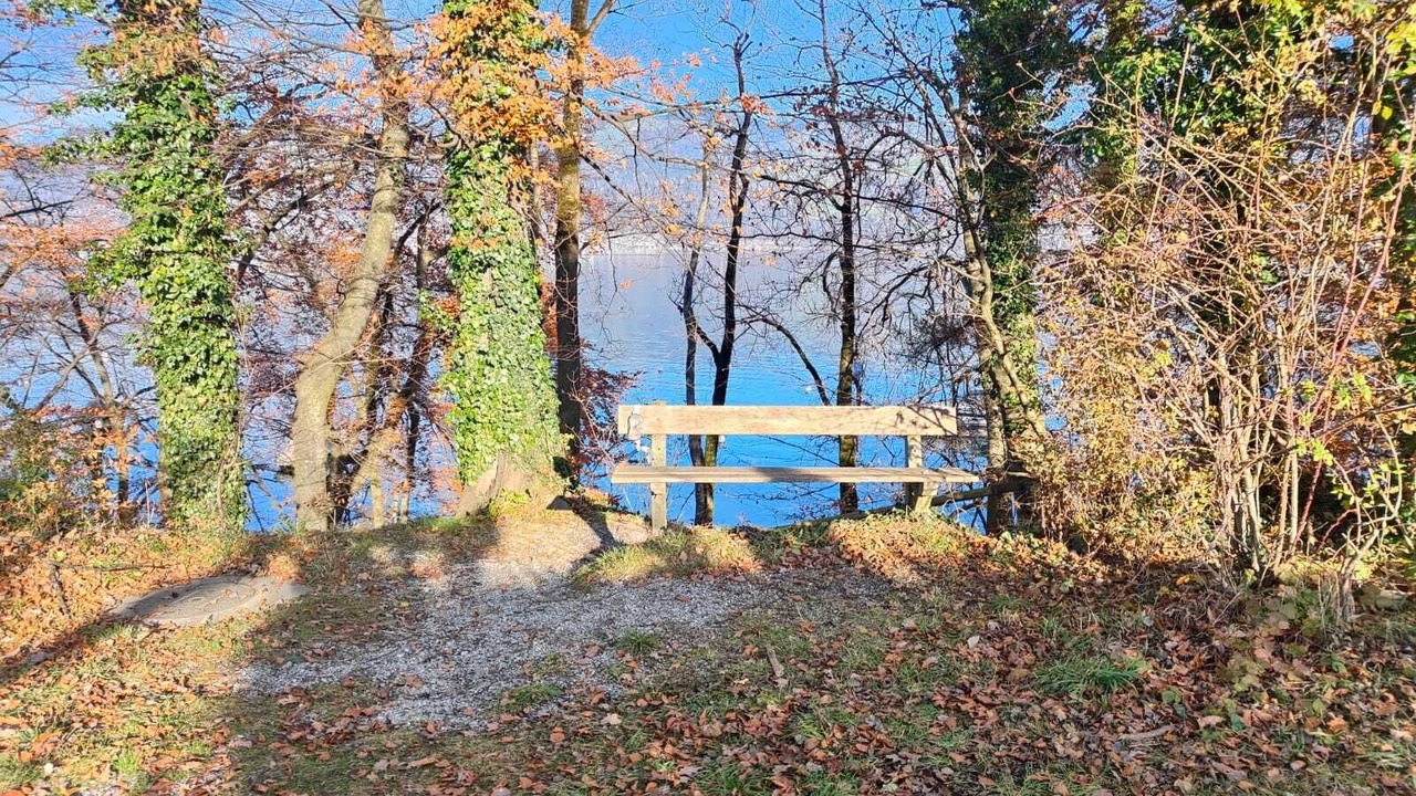 Photo of Others in Einigen