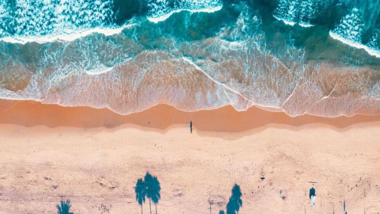 Photo of Others in Del Mar Heights