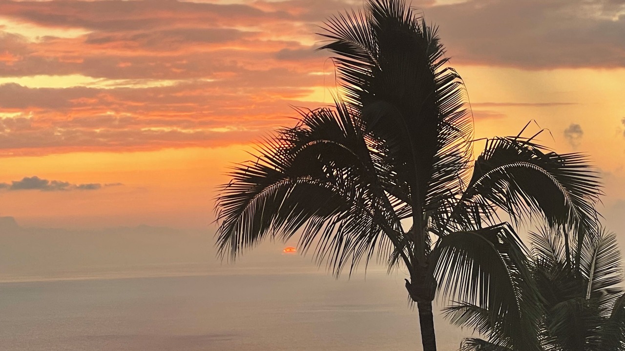 Photo of Others in Holualoa