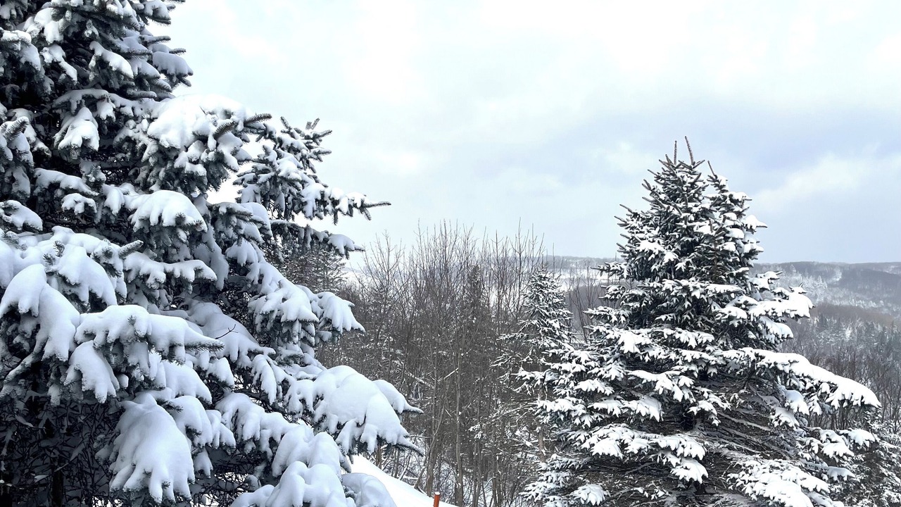 Photo of Others in Seven Springs