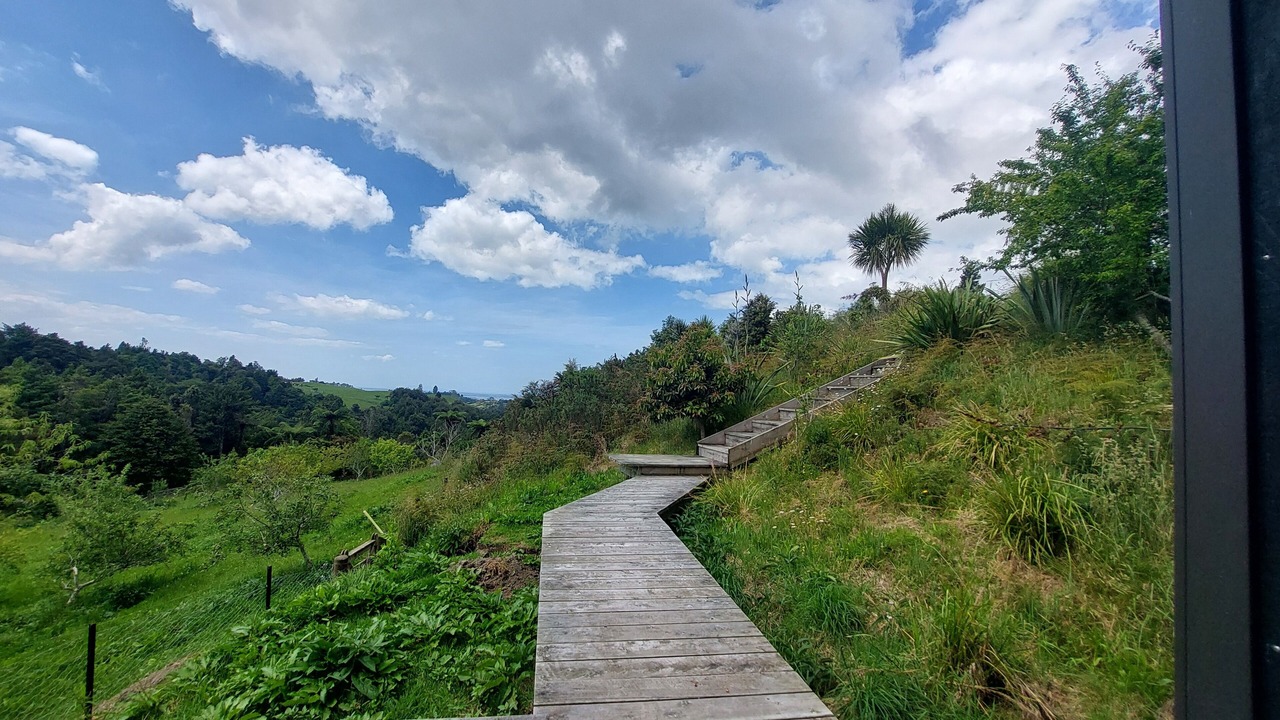 Photo of Outdoor in Whakamarama