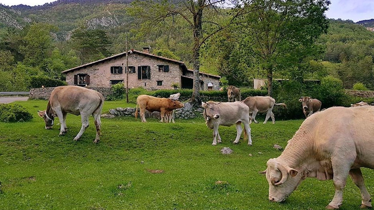 Photo of Others in La Molina