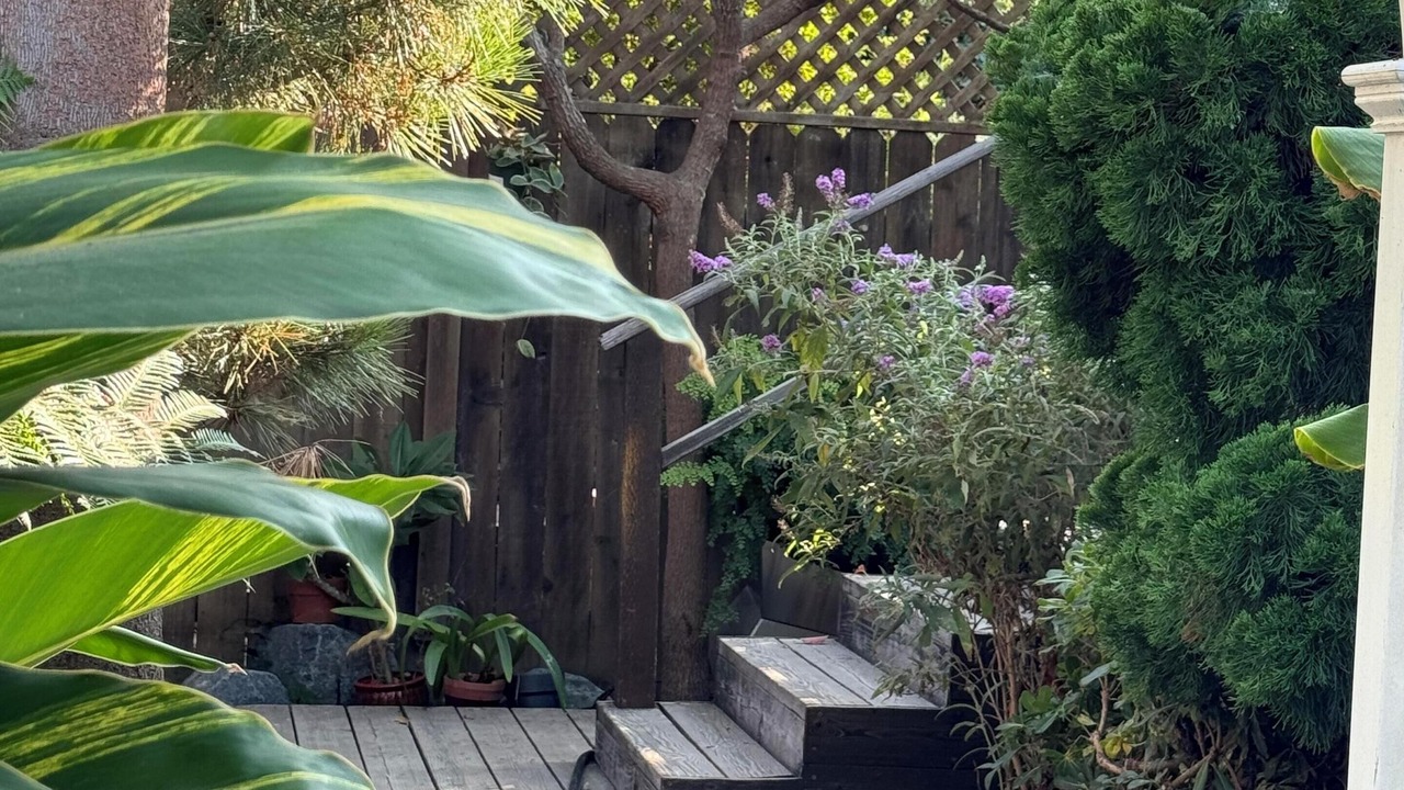 Photo of Outdoor in Eastside