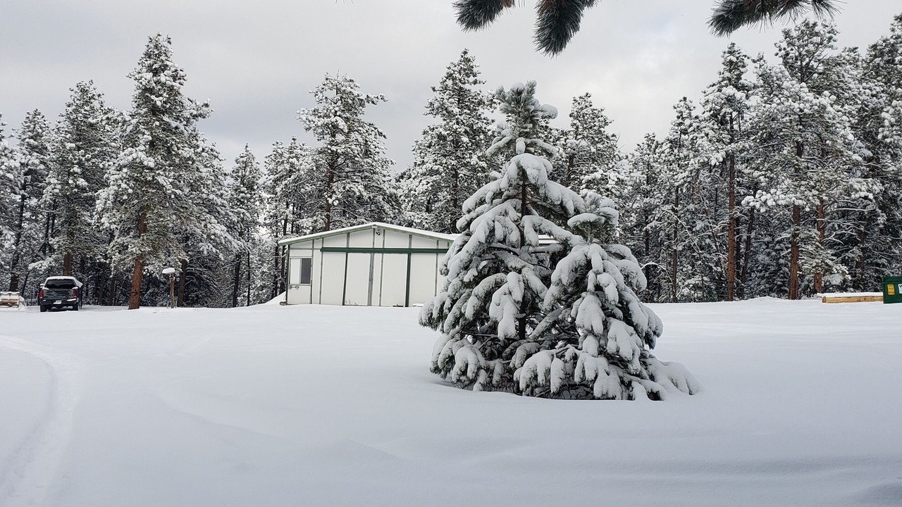 Photo of Outdoor in Woodland Park