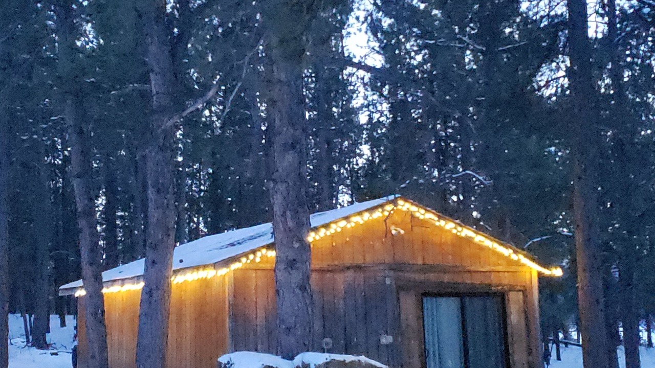 Photo of Outdoor in Woodland Park