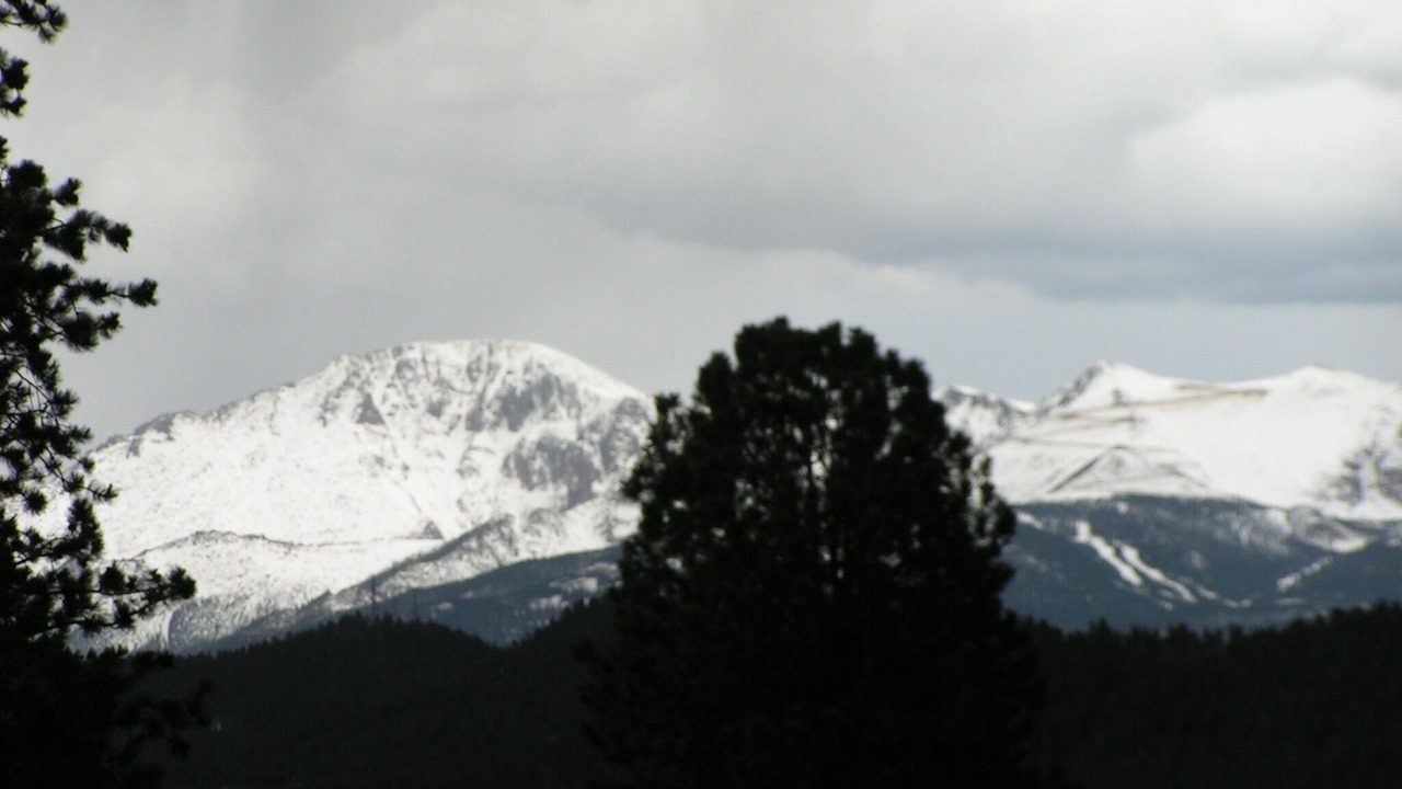 Photo of Others in Woodland Park