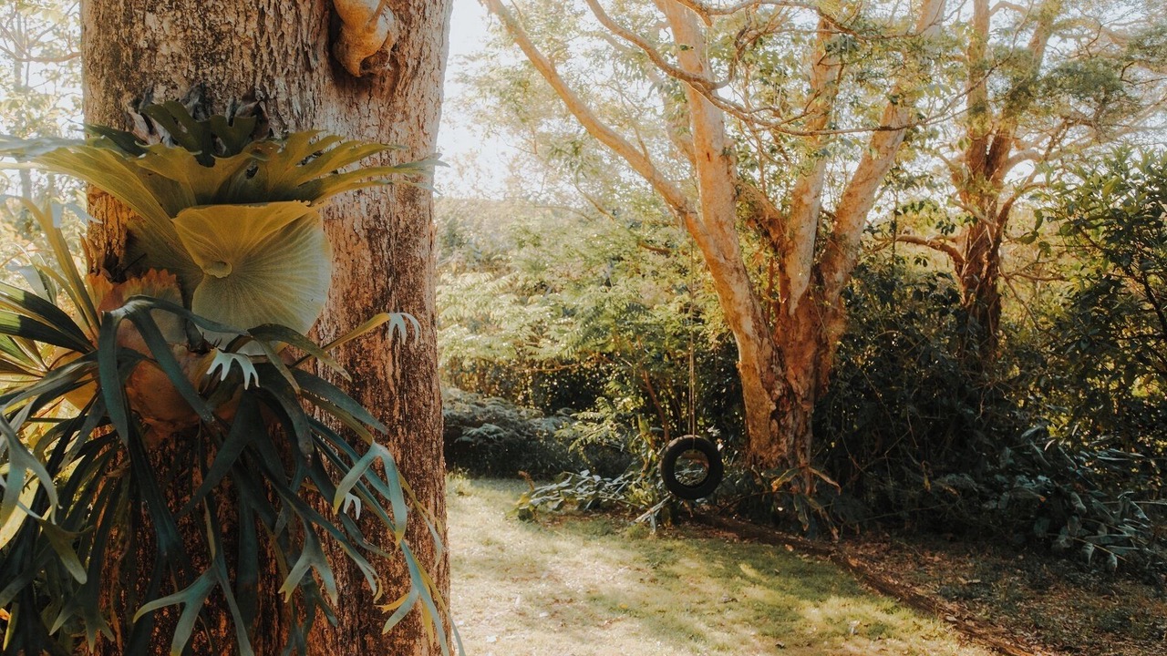 Photo of Outdoor in Maleny