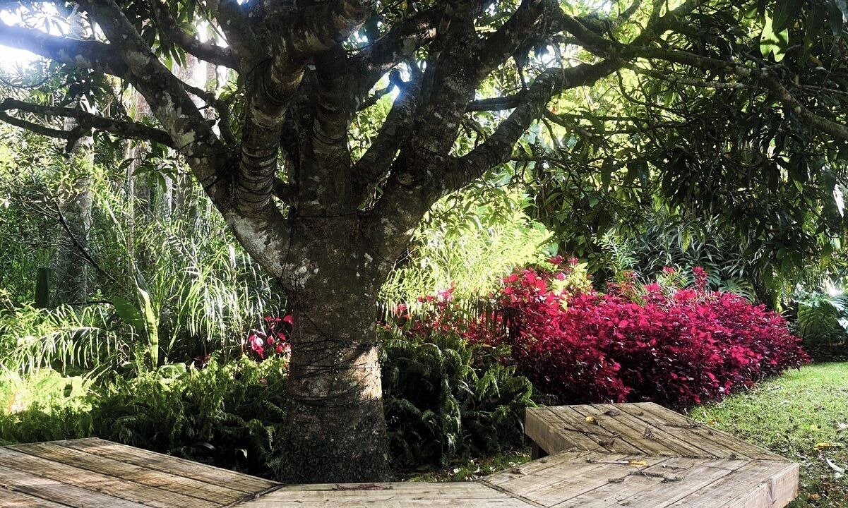 Photo of Outdoor in Maleny