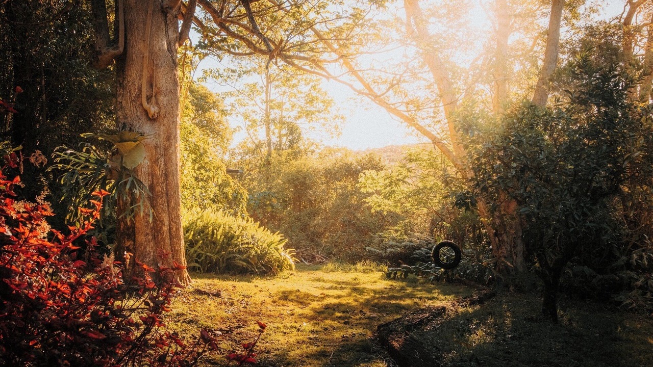Photo of Outdoor in Maleny