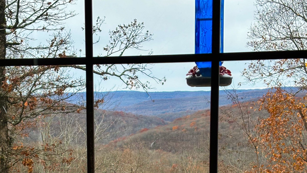 Photo of Others in Mountainburg