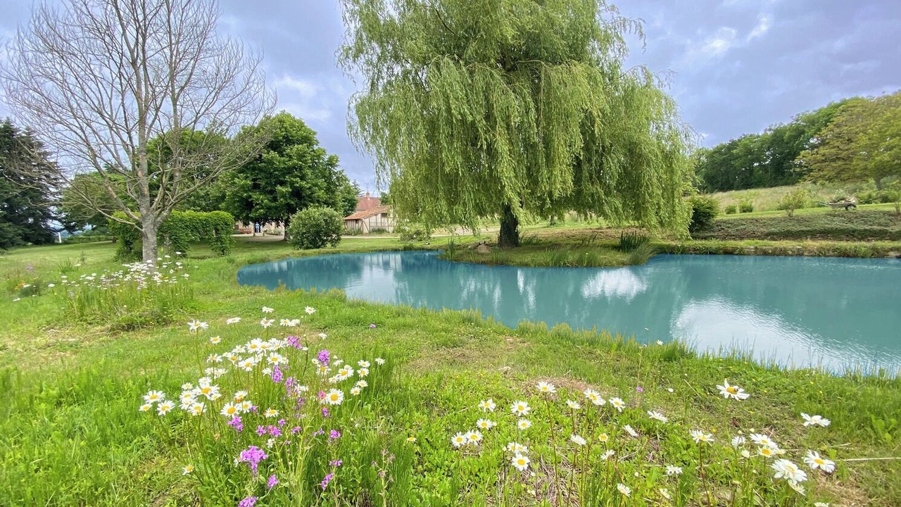 Photo of Outdoor in Moulins-le-Carbonnel