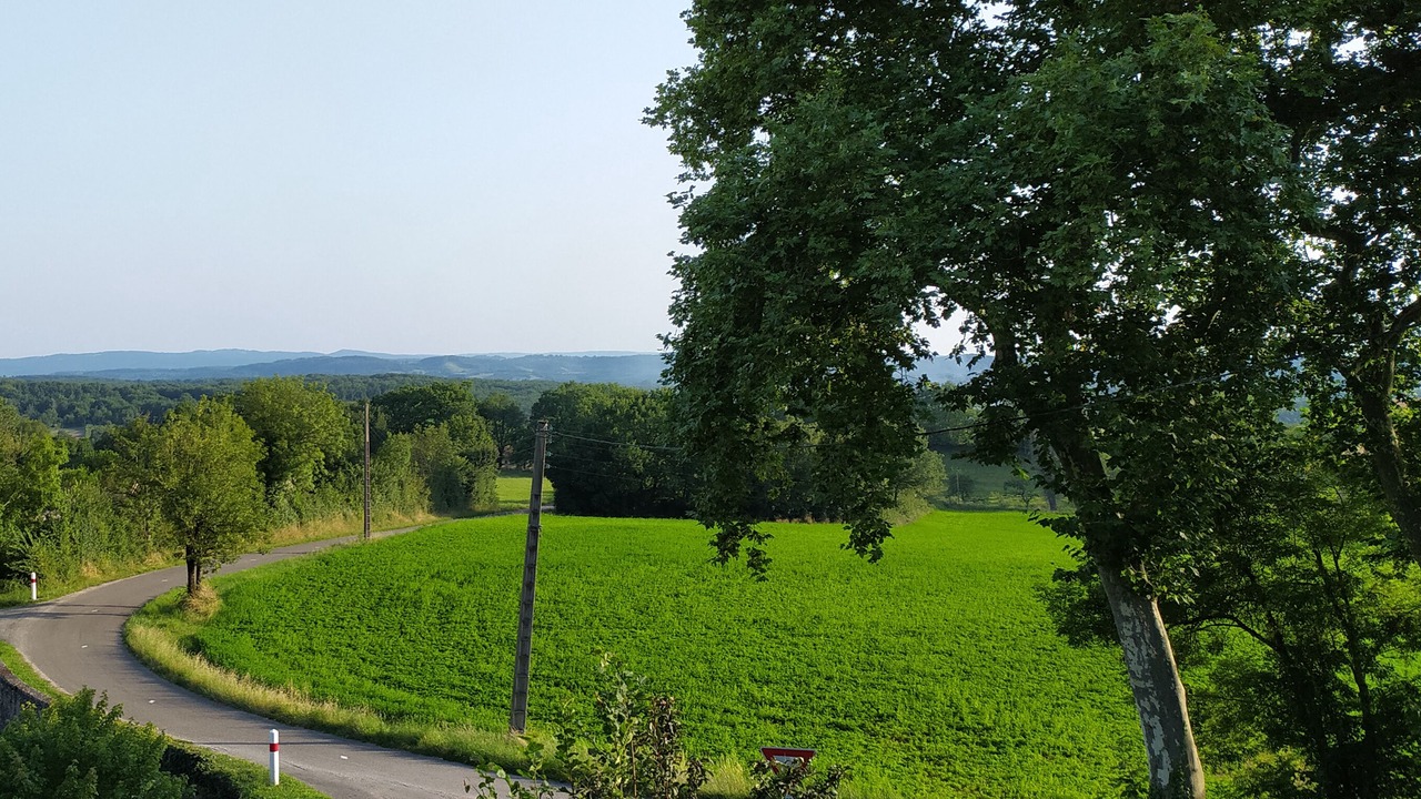 Photo of Others in Andressac