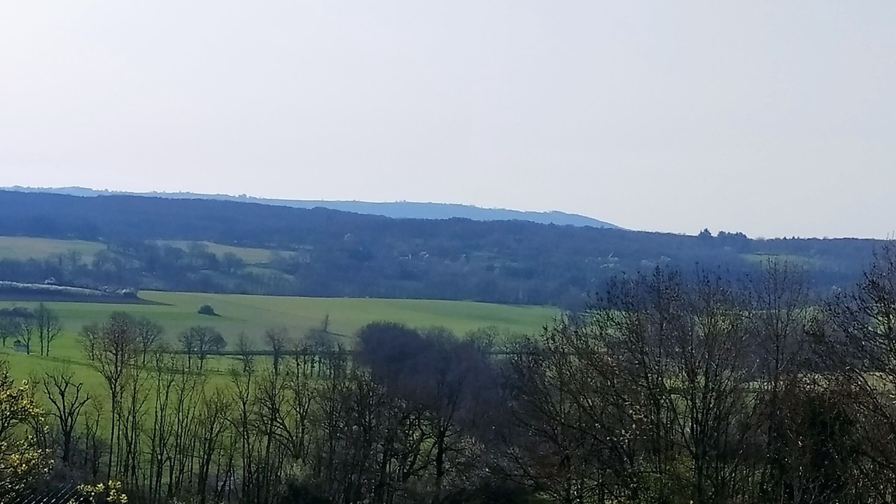 Photo of Others in Andressac