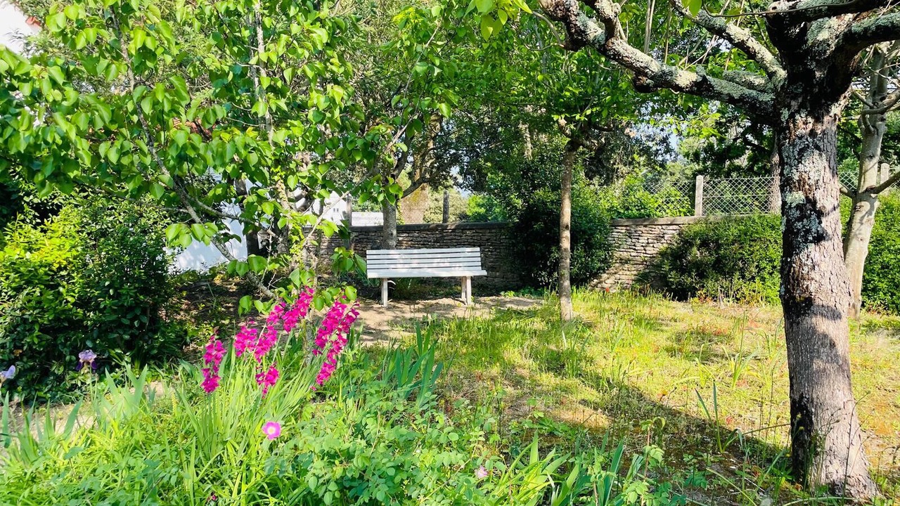 Photo of Outdoor in Saint-Trojan-les-Bains