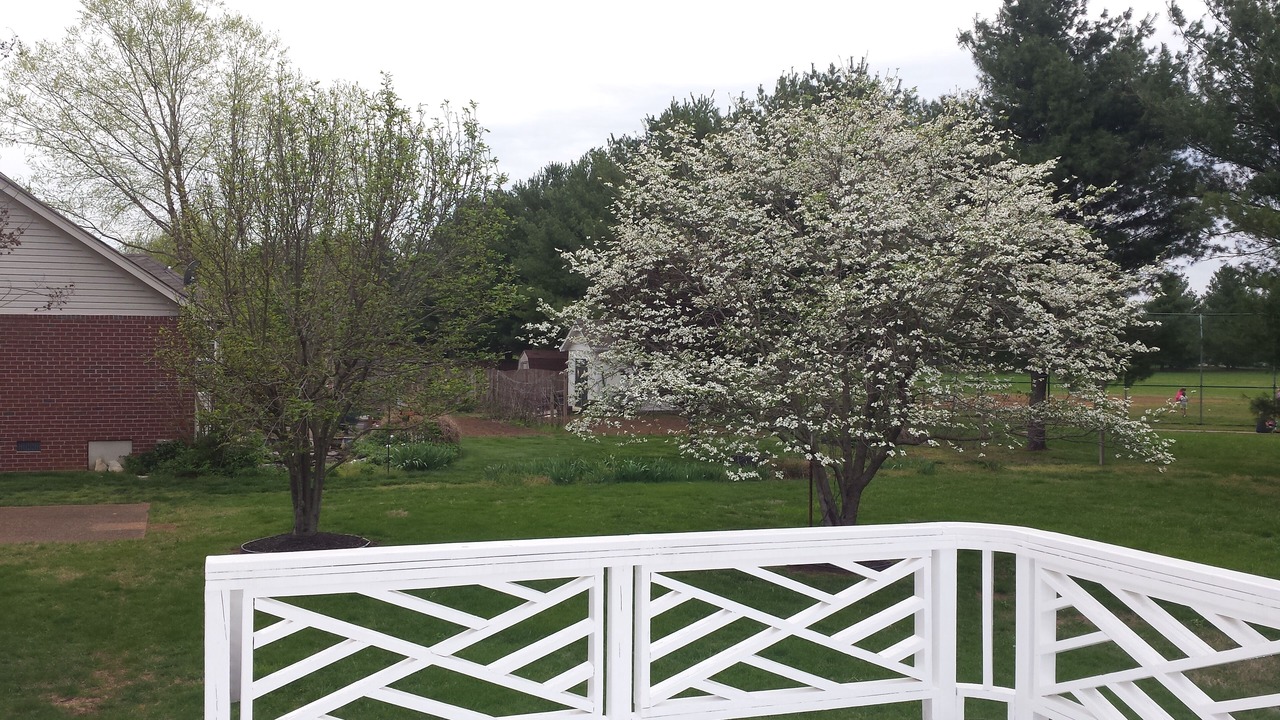 Photo of Outdoor in Murfreesboro
