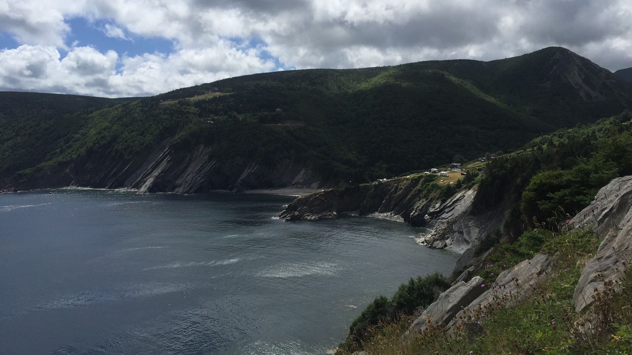 Photo of Others in South Harbour