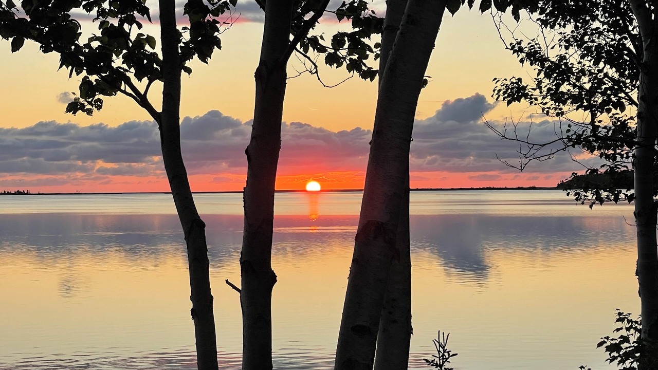 Photo of Others in South Harbour