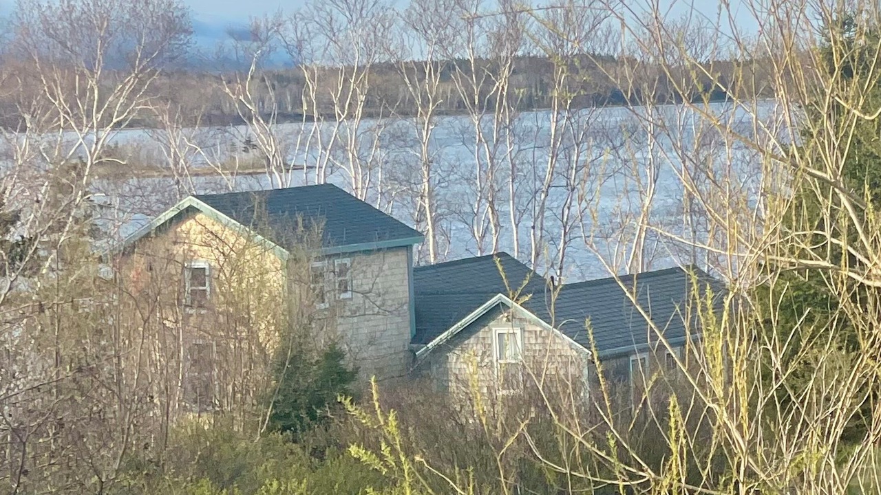 Photo of Outdoor in South Harbour