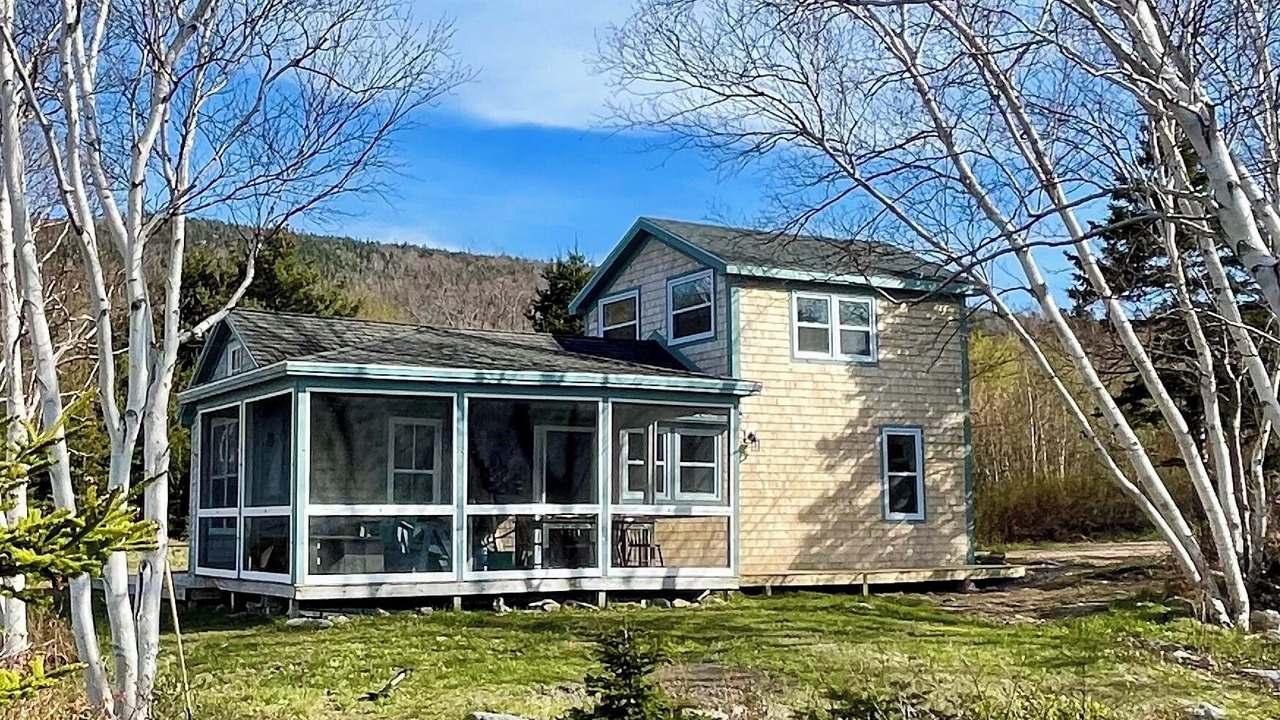 Photo of Outdoor in South Harbour