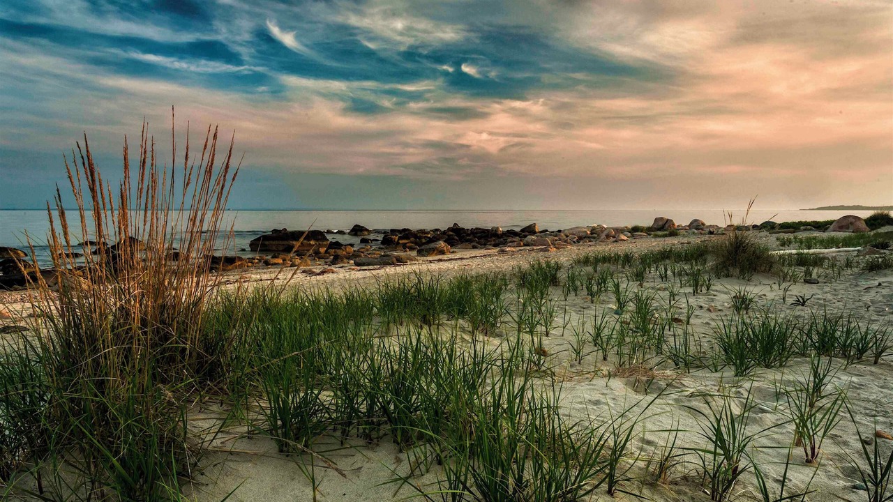 Photo of Others in Charlestown