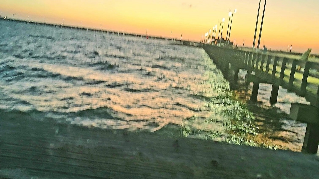 Photo of Others in North Beach