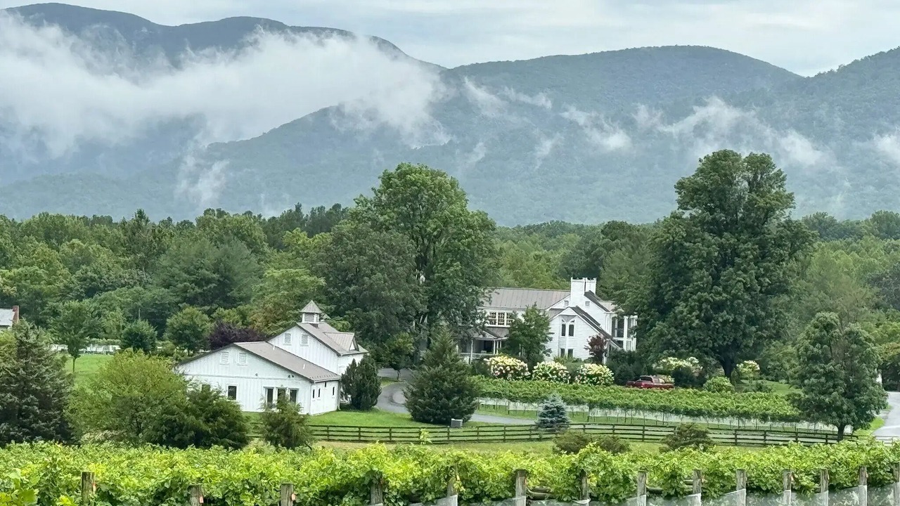 Photo of Others in Wintergreen